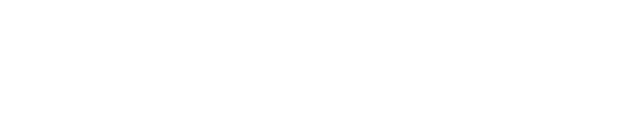 TurkNet